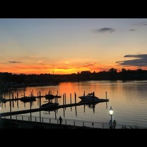 Meet your Posher, Roza